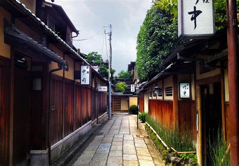 京都 自然 穴場 - 古都の静寂と現代の喧騒が交錯する秘密の庭